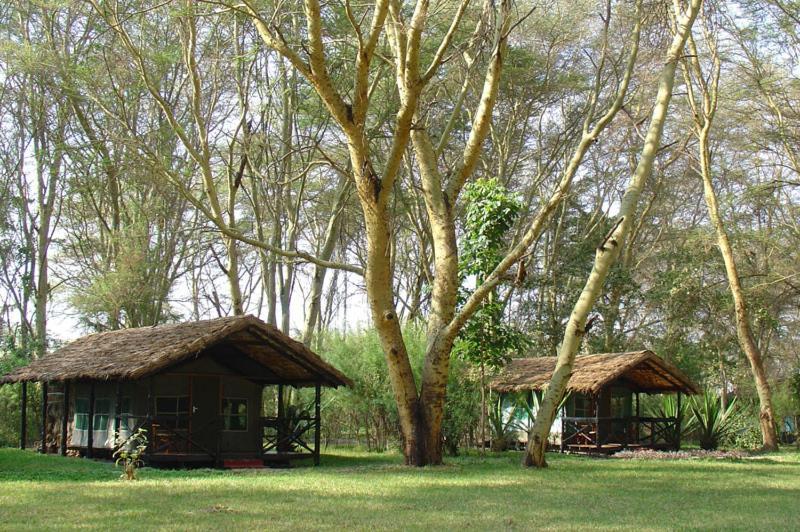 Migunga Tented Camp Mto wa Mbu Exteriör bild