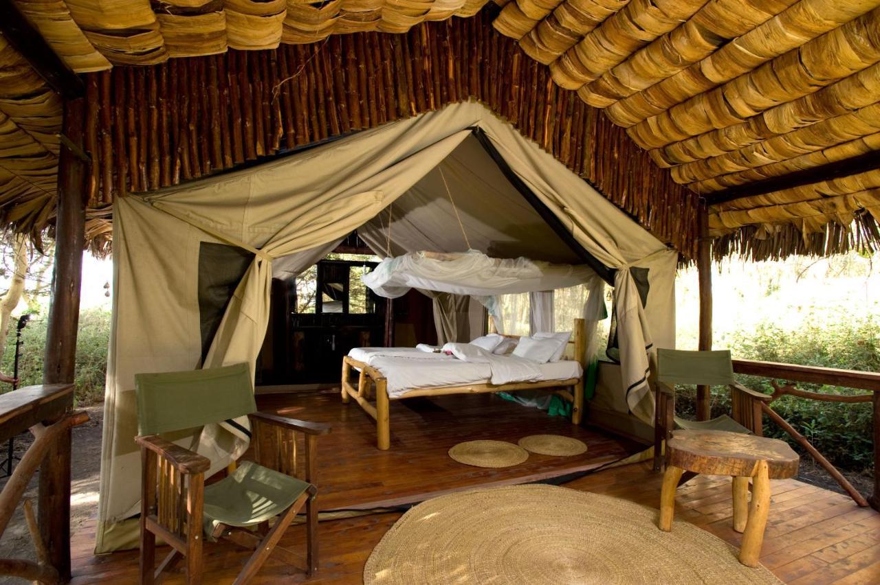 Migunga Tented Camp Mto wa Mbu Exteriör bild