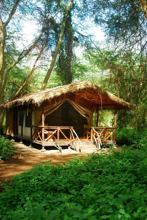 Migunga Tented Camp Mto wa Mbu Exteriör bild