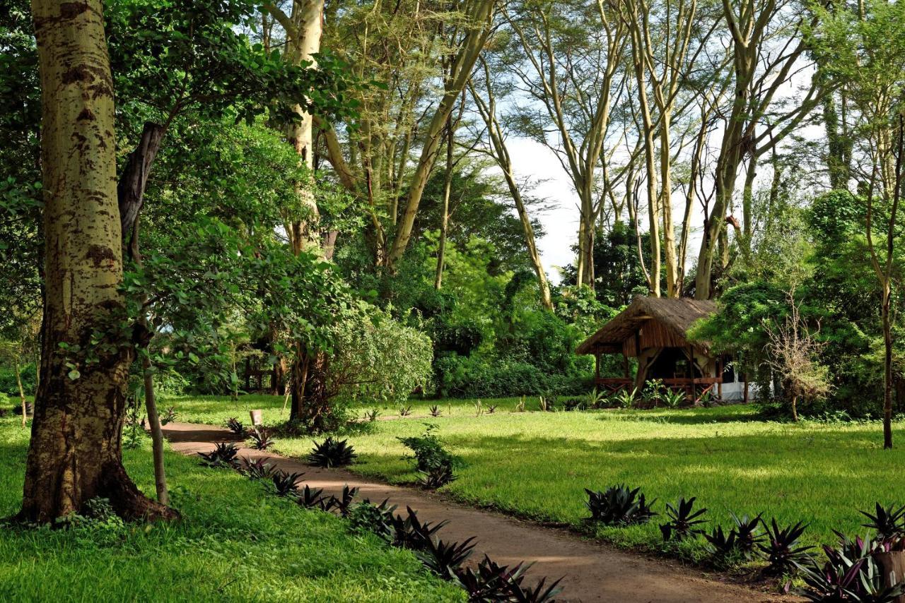 Migunga Tented Camp Mto wa Mbu Exteriör bild