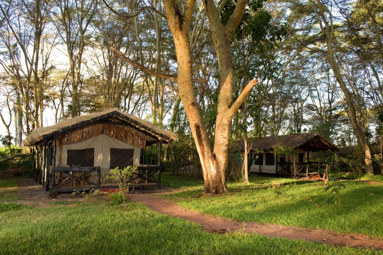 Migunga Tented Camp Mto wa Mbu Exteriör bild